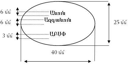 Ներմուծեք նկարագրությունը_11307