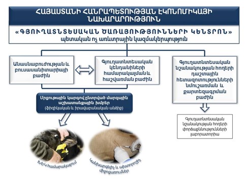 Ներմուծեք նկարագրությունը_20997