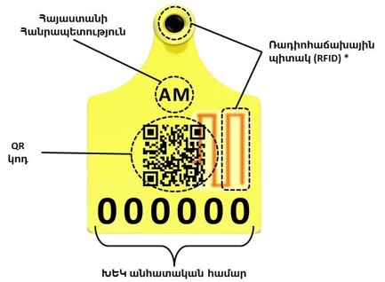 Ներմուծեք նկարագրությունը_20998