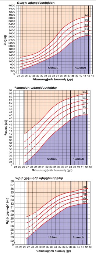 Ներմուծեք նկարագրությունը_21191