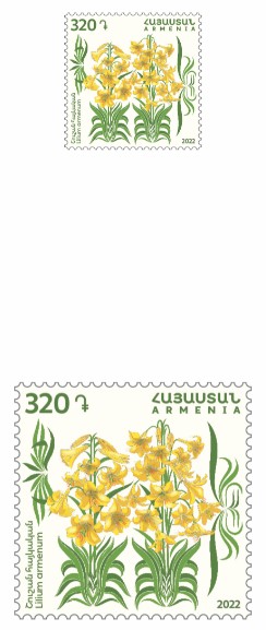 Ներմուծեք նկարագրությունը_22007