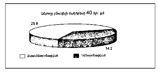 Ներմուծեք նկարագրությունը_18162