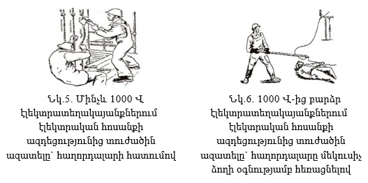 Ներմուծեք նկարագրությունը_22743