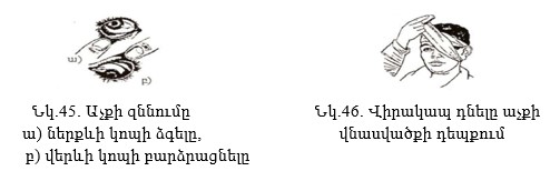 Ներմուծեք նկարագրությունը_22758