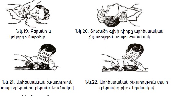 Ներմուծեք նկարագրությունը_22780