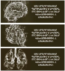 Ներմուծեք նկարագրությունը_23177