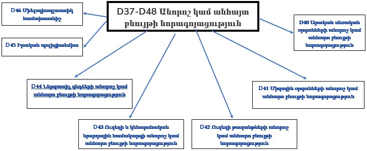 Ներմուծեք նկարագրությունը_23313