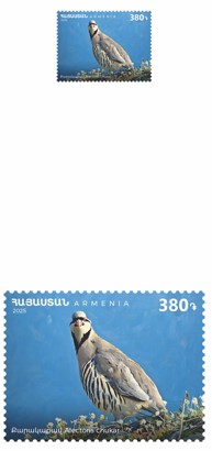 Ներմուծեք նկարագրությունը_24111