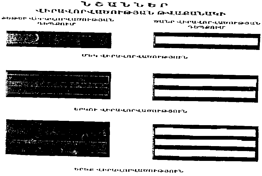 Ներմուծեք նկարագրությունը_1838