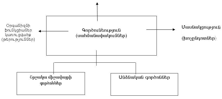 Ներմուծեք նկարագրությունը_1674